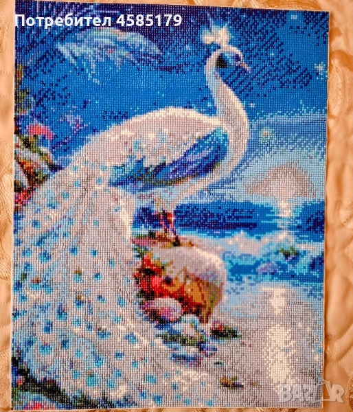 паун, снимка 1