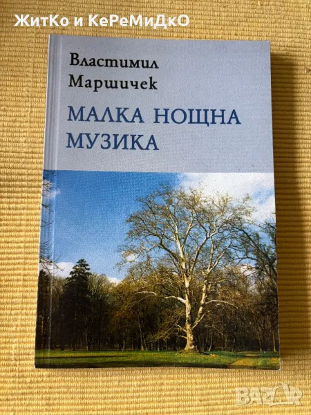  Властимил Маршичек - Малка нощтна музика , снимка 1