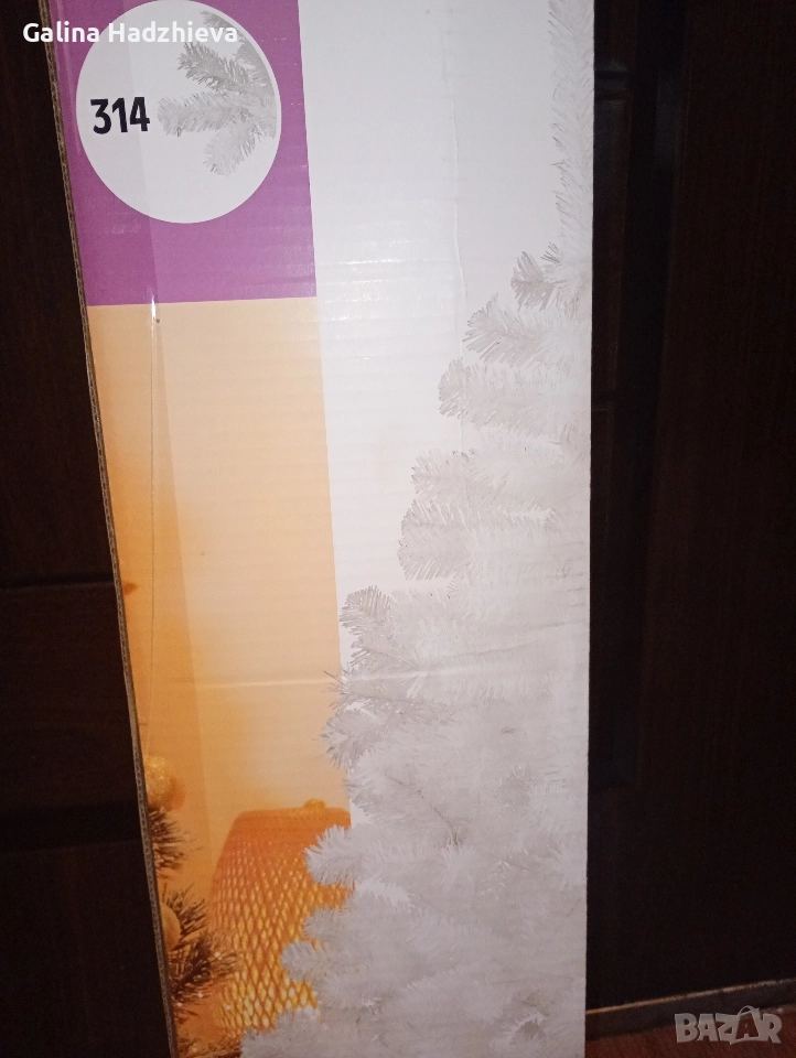 Коледна елха бяла, снимка 1