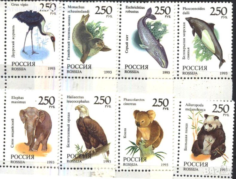 Чисти марки Фауна 1993 от Русия, снимка 1