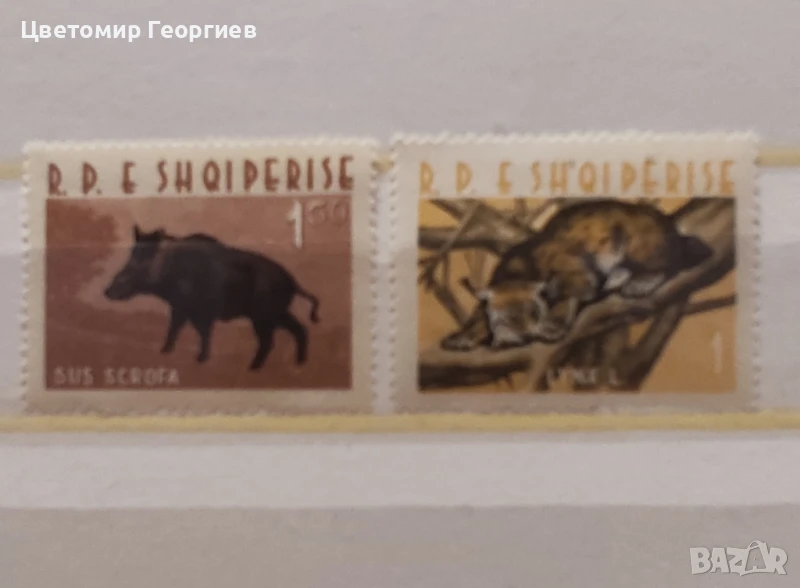 Албания 1962 г.   К.3, снимка 1