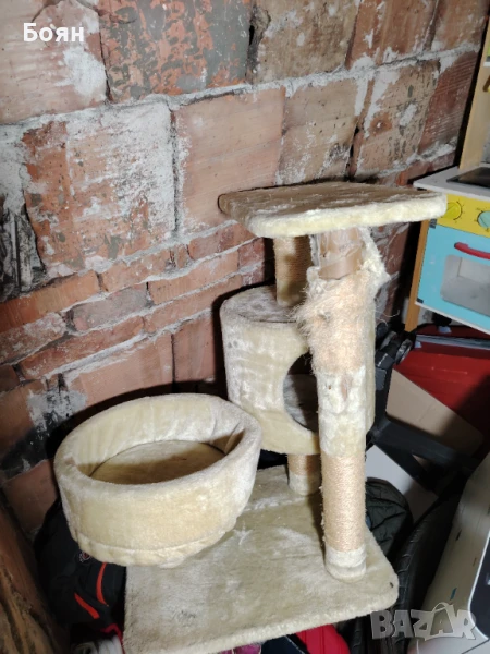 Катерушка за коте, снимка 1