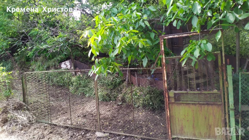 Продавам лозе 664кв.м. в гр.Силистра, местност Орта Борун, ул.Трета, снимка 1