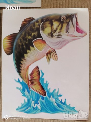 Стикер лепенка Риба Щука Елен Глиган Тигър за автомобил кола джип камион + подарък, снимка 5 - Аксесоари и консумативи - 28853901