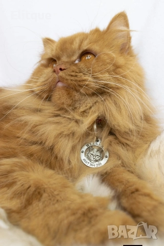 медальони за кучета от неръждаема стомана 