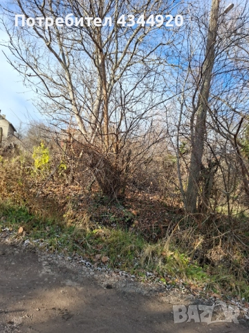 Парцел в С. Храбарско (Махала Беличка ръка), снимка 8 - Парцели - 52876372