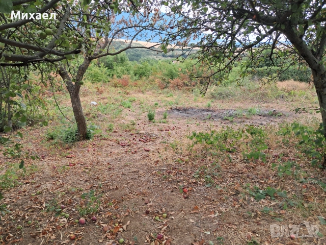 Парцел с бунгало, снимка 4 - Вили - 52865483