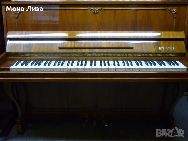 Уроци по акордеон, пиано, солфеж и елементарна теория- гр. Раковски, снимка 2 - Ученически и кандидатстудентски - 48685967