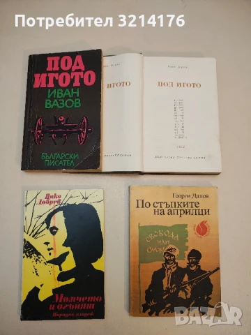 Момчето и огънят - Янко Добрев