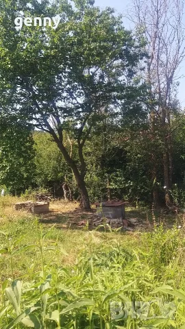 Къща с голям двор в с. Новосел, от собственик , снимка 3 - Къщи - 56002461