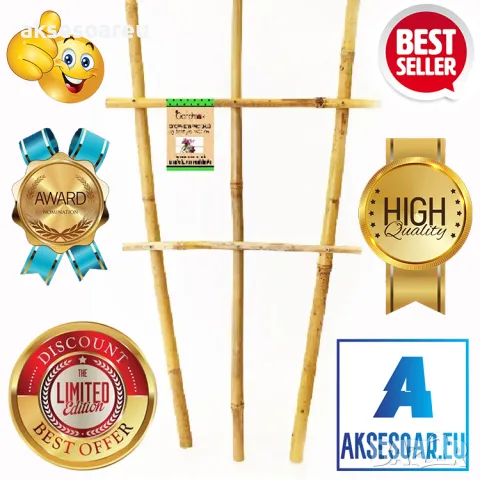 Качествени семена от бамбук Moso Bambo бързо растящи растения за дома бамбуков разсад за украса , снимка 4 - Сортови семена и луковици - 48994928