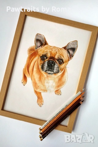 ПРОМО Ръчно рисуван портрет на домашен любимец, снимка 4 - Картини - 38707277