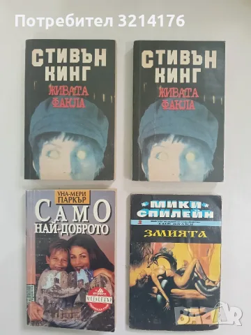 Живата факла - Стивън Кинг, снимка 1 - Художествена литература - 56460423