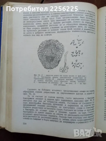 Кратък курс по физиология на растенията , снимка 2 - Специализирана литература - 50065009