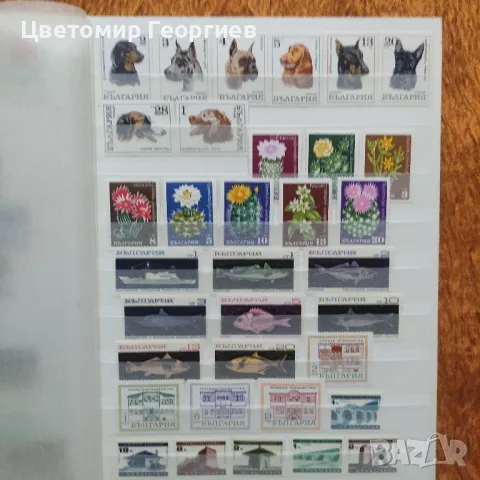 България.  К.2-3, снимка 5 - Филателия - 49154998