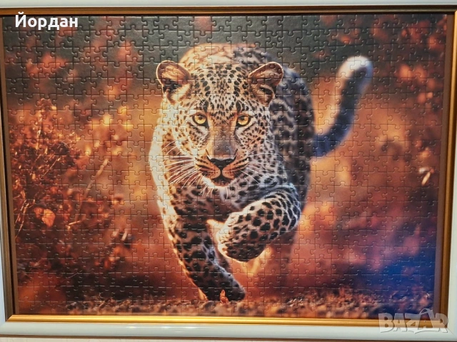 Картина-пъзел с Леопард в стилна рамка - 500 части, уникален декор, снимка 3 - Картини - 53184841