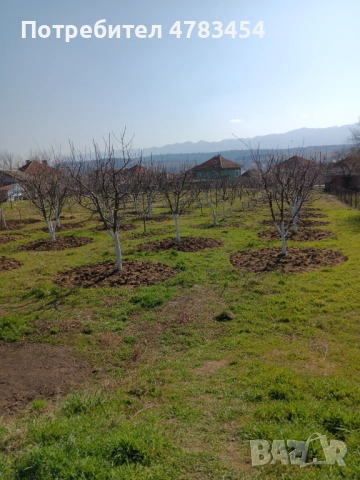 Градина , снимка 2 - Парцели - 54041387