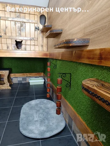 Хотел за котки Уговет , снимка 6 - Ветеринари и услуги - 49763338