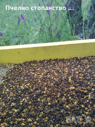БИО Пчелен прашец от Сакар планина, снимка 6 - Пчелни продукти - 18145770