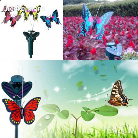 Соларна пеперуда за саксия градина, снимка 1 - Градински цветя и растения - 36597357