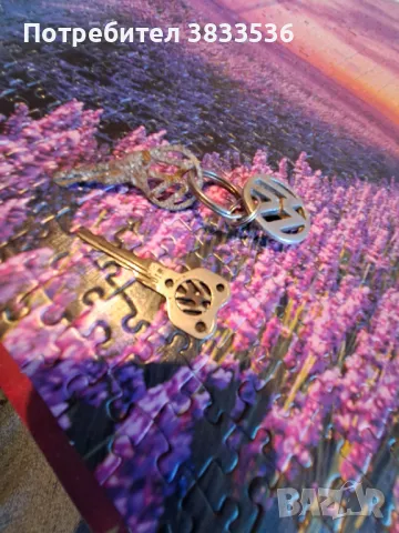 Стари ключове и кл.държ. за Renault & Volkswagen, снимка 4 - Аксесоари и консумативи - 49805881