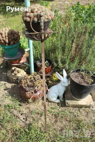 Шпага , снимка 4 - Антикварни и старинни предмети - 50752267