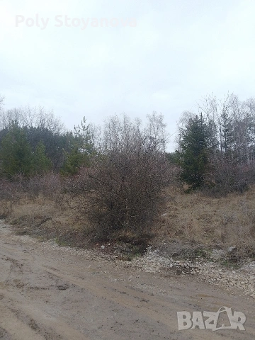 Продажба , снимка 10 - Парцели - 52964958