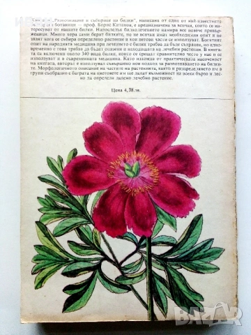 Разпознаване и събиране на билки - Борис Китанов - 1987г., снимка 7 - Енциклопедии, справочници - 53281460