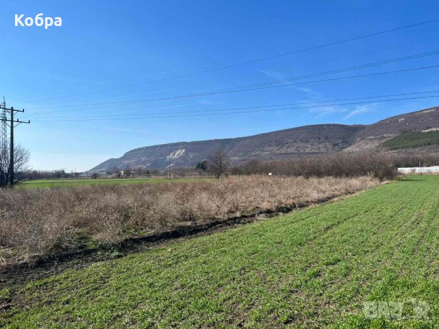 ДАВА ПОД НАЕМ ПАРЦЕЛ, гр. Шумен, Дивдядово, снимка 4 - Парцели - 44444833