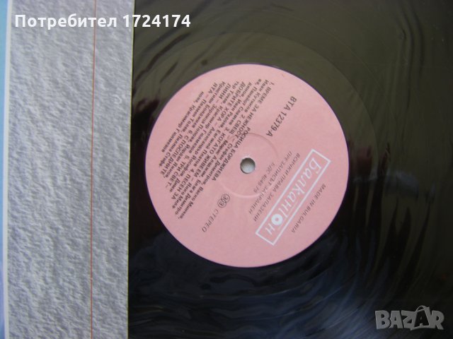 ВТА 12379 - Росица Борджиева, снимка 3 - Грамофонни плочи - 31667353