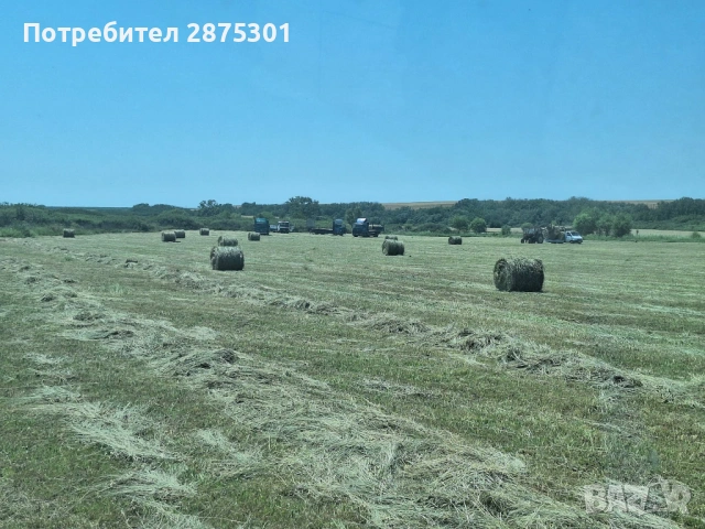 Бали Сено, снимка 4 - За селскостопански - 53941423