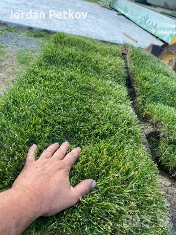 📍📍📍Тревен чим 25 лв. за кв/м. цената включва: тревен чим, товаро-разтоварна дейност, полагане и м, снимка 2 - Градински цветя и растения - 50381448