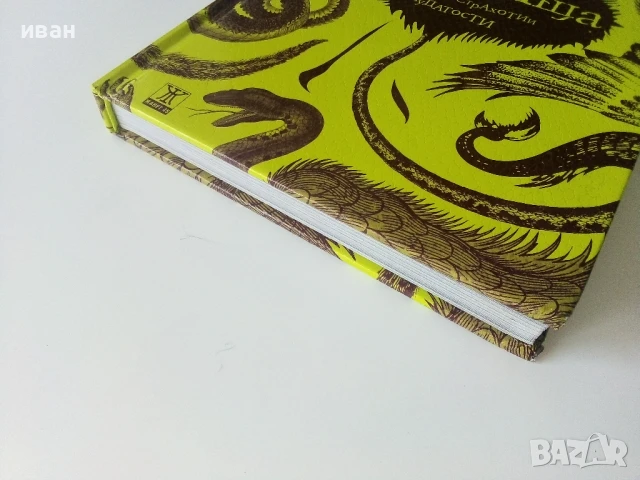 Чудовища - Галерия от страхотии и чудатости - Кристофър Дел - 2010г., снимка 6 - Детски книжки - 50697573