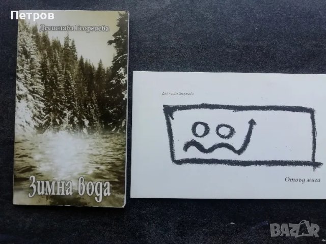Деница Георгиева - Зимна вода, Отвъд мига