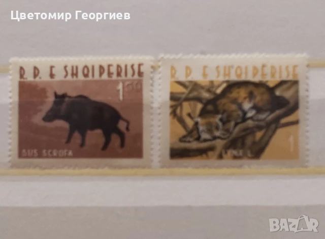 Албания 1962 г.   К.3