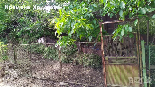 Продавам лозе 664кв.м. в гр.Силистра, местност Орта Борун, ул.Трета