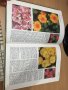 Цветна Енциклопедия - A-Z of perennials -Successful Gardening, снимка 5