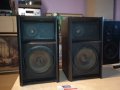 SCHNEIDER 8029LS SPEAKER SYSTEM-GERMANY 1001221107, снимка 1