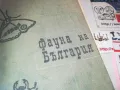 ФАУНА НА БЪЛГАРИЯ 0810241137, снимка 4