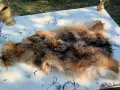Кожи от лисица - естествени , снимка 8