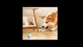 Смарт интерактивно топче за кучета и котки, снимка 5