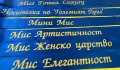 Сатенени ленти с надписи, снимка 3