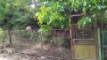 Продавам лозе 664кв.м. в гр.Силистра, местност Орта Борун, ул.Трета, снимка 1