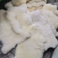 Естествени овчи кожи Бели 100% КАЧЕСТВО, снимка 1 - Декорация за дома - 38646554