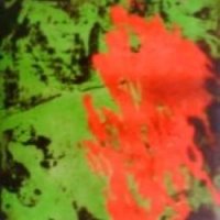 Червено и зелено Айрис Мърдок, снимка 1 - Художествена литература - 30066745