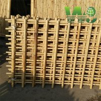 Семена от гигантски бамбук Moso Bambo градински сертифицирани декоративни растения за дома и двора б, снимка 14 - Разсади - 38062500