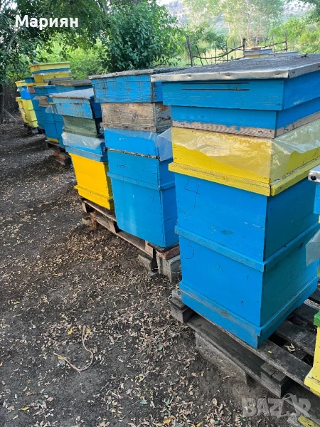 Многокорпусни кошери, снимка 1