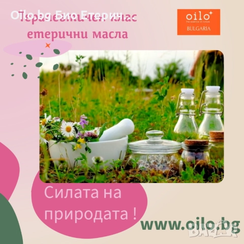 Ползи от етеричните масла според състоянието