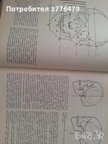 Пластична анатомия,Кр.Чоканов, снимка 4 - Специализирана литература - 47493666