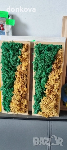 декорации ръчно изработени от жив скандинавски мъх и сапунени рози., снимка 3 - Декорация за дома - 52206003